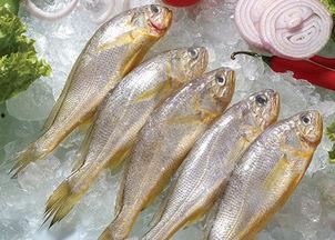 小黄鱼爆料新闻报道视频,揭秘新闻报道背后的真相 第3张 小黄鱼爆料新闻报道视频,揭秘新闻报道背后的真相 第3张