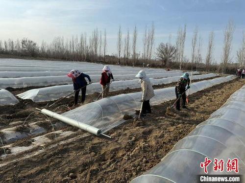 甜瓜爆料炮台视频大全,揭秘热门游戏幕后精彩瞬间  第3张