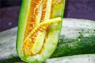 威海吃瓜网红是谁啊,她是如何成为当地热门话题的?” 第3张 威海吃瓜网红是谁啊,她是如何成为当地热门话题的?” 第3张