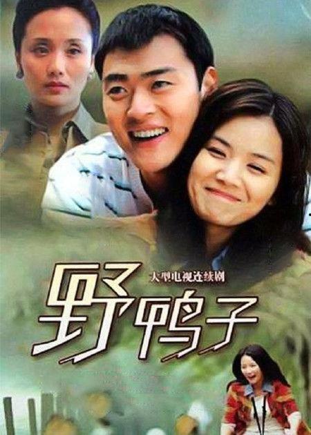 野鸭子第二部全集在线观看,感人至深的亲情与成长之旅 第2张 野鸭子第二部全集在线观看,感人至深的亲情与成长之旅 第2张